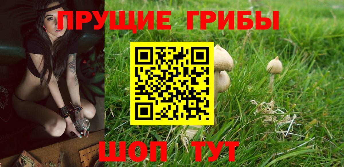 Псилоцибиновые грибы GOLDEN TEACHER  Вход с VPN  даркнет сайт  Стрежевой 