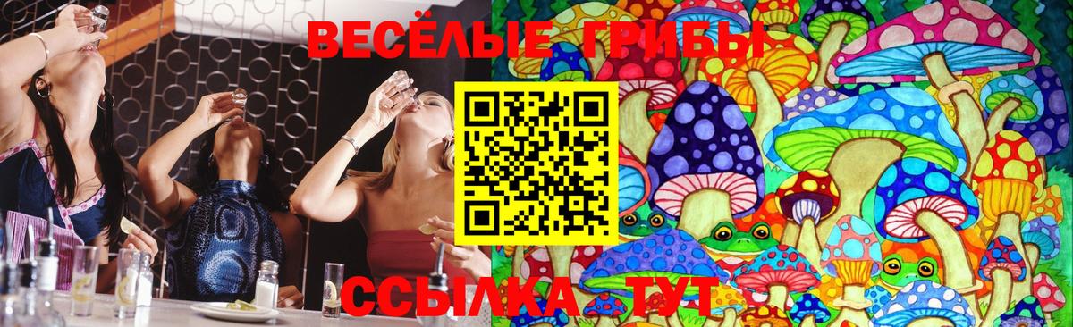 Галлюциногенные грибы MAGIC MUSHROOMS Стрежевой